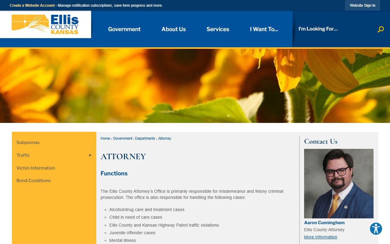 Ellis County court records after jail arrest County Attorney prosecution page